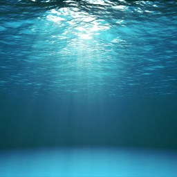 Afinal, o que é um sonar?