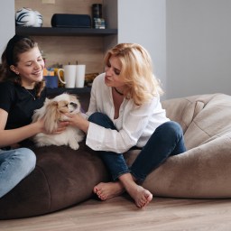 Conheça os novos acessórios para pets em apartamentos