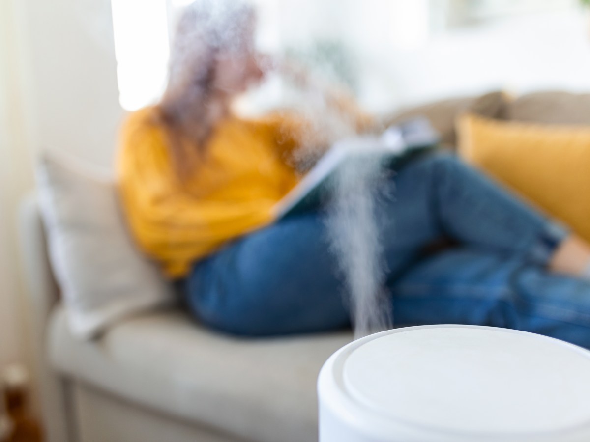 Como lidar com a baixa umidade do ar em casa: dicas para sua família